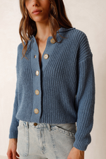 Load image into Gallery viewer, Indi And Cold - Classic Buttoned Collar Cardigan - Sky Blue
